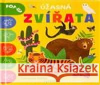 Úžasná zvířata POP-UP Melanie Mikecz 9788025638705 Svojtka & Co. - książka