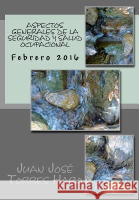 Aspectos Generales de la Seguridad y Salud Ocupacional Juan Jose Torre 9781523943487 Createspace Independent Publishing Platform - książka