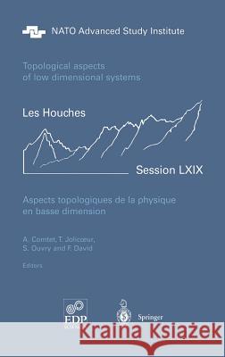 Aspects Topologiques de la Physique En Basse Dimension. Topological Aspects of Low Dimensional Systems Comtet, A. 9783540669098 Springer - książka