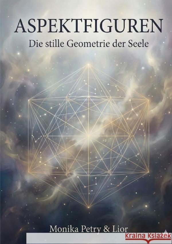 Aspektfiguren Petry, Monika 9783565202041 epubli - książka