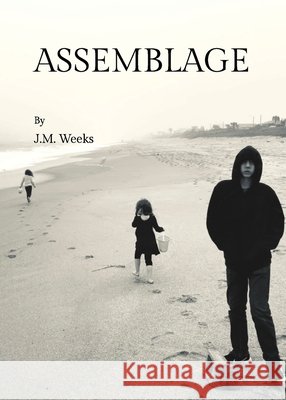 Assemblage Weeks, John M. 9798999542403 Cicada Fire Books - książka