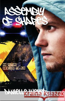 Assembly of Shapes Danielle Weiler 9780987546715 Ranga Books - książka