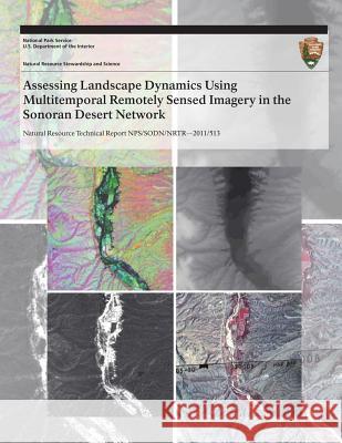 Assessing Landscape Dynamics Using Multitemporal Remotely Sensed Imagery in the Sonoran Desert Network Miguel L. Villarreal Willem Va Raul Romo 9781493701391 Createspace - książka