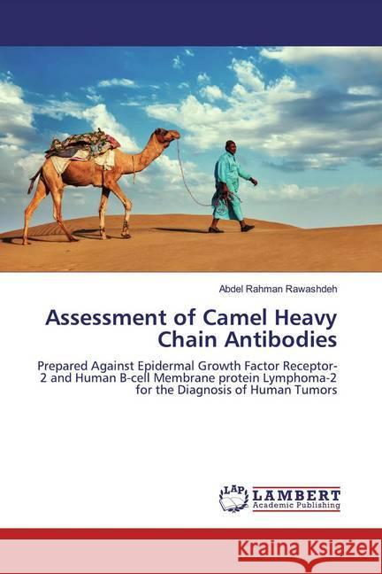 Assessment of Camel Heavy Chain Antibodies : Prepared Against Epidermal Growth Factor Receptor-2 and Human B-cell Membrane protein Lymphoma-2 for the Diagnosis of Human Tumors Rawashdeh, Abdel Rahman 9783659936531 LAP Lambert Academic Publishing - książka
