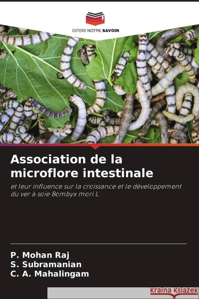 Association de la microflore intestinale Raj, P. Mohan, Subramanian, S., Mahalingam, C. A. 9786205125830 Editions Notre Savoir - książka