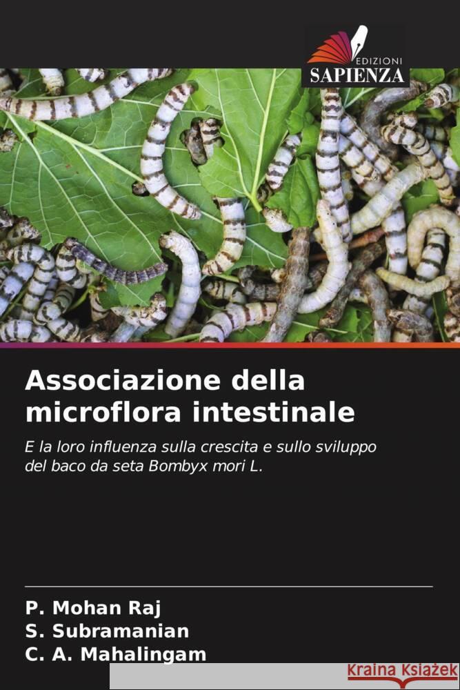 Associazione della microflora intestinale Raj, P. Mohan, Subramanian, S., Mahalingam, C. A. 9786205125847 Edizioni Sapienza - książka