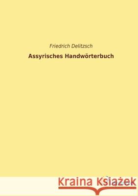 Assyrisches Handwörterbuch Delitzsch, Friedrich 9783965065338 Literaricon Verlag - książka