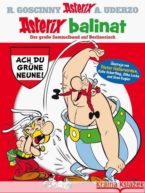 Asterix balinat : Der große Sammelband auf Berlinerisch Uderzo, Albert; Goscinny, René 9783770439508 Ehapa Comic Collection - książka