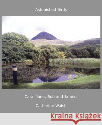 Astonished Birds Cara, Jane, Bob and James. Catherine Walsh 9781872781051 Hardpressed Poetry - książka