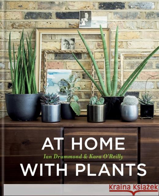 At Home with Plants: Transform Your Home with Plants Kara O'Reilly 9781784721947 Octopus Publishing Group - książka