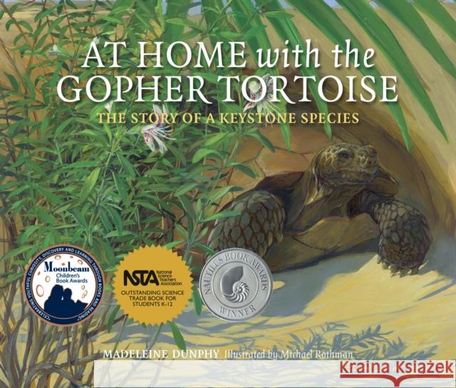 At Home with the Gopher Tortoise: The Story of a Keystone Species Madeleine Dunphy Michael Rothman 9780977753956 Web of Life Children's Books - książka