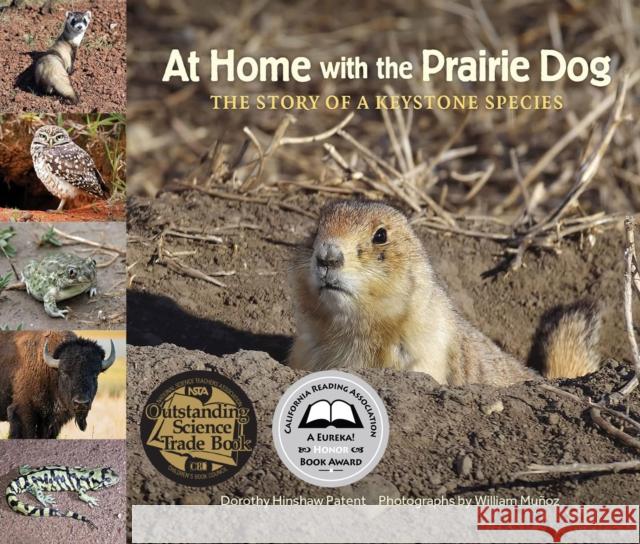 At Home with the Prairie Dog: The Story of a Keystone Species Dorothy Hinshaw Patent William Munoz 9781970039061 Web of Life Children's Books - książka