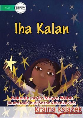 At Night - Iha Kalan Mayra Walsh Sasha Zelenkevich 9781922591913 Library for All - książka