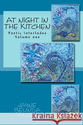 At Night in The Kitchen: Poetic Interludes Volume one Allen, Jayne Belinda 9781503222496 Createspace - książka