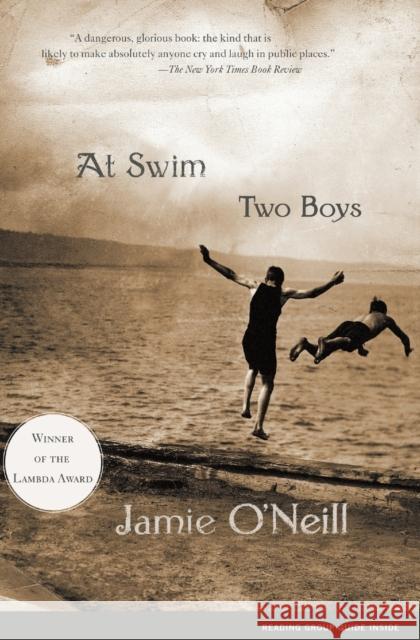 At Swim, Two Boys Jamie O'Neill 9780743222952 Scribner Book Company - książka