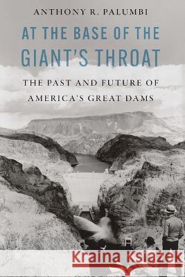 At the Base of the Giant\'s Throat: The Past and Future of America\'s Great Dams Anthony R. Palumbi 9781640124936 Potomac Books - książka