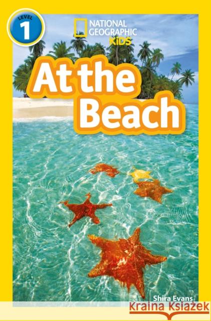 At the Beach: Level 1 National Geographic Kids 9780008422240 HarperCollins Publishers - książka