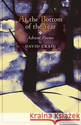 At the Bottom of the Year David Craig 9781621387848 Angelico Press - książka