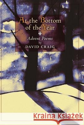 At the Bottom of the Year David Craig 9781621387855 Angelico Press - książka