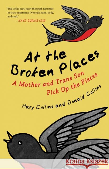 At the Broken Places: A Mother and Trans Son Pick Up the Pieces Mary Collins Donald Collins 9780807088357 Beacon Press - książka