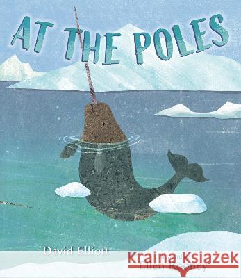 At the Poles David Elliott Ellen Rooney 9781536205992 Candlewick Press (MA) - książka
