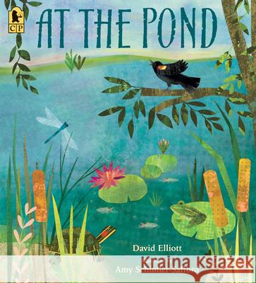 At the Pond David Elliott Amy Schimler-Safford 9781536252705 Candlewick Press (MA) - książka