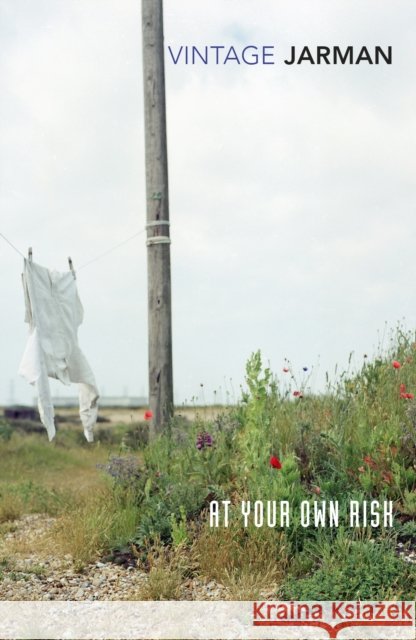 At Your Own Risk: A Saint's Testament Derek Jarman 9780099222910 Vintage Publishing - książka