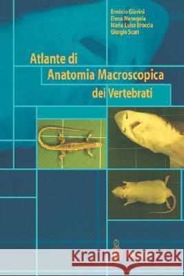 Atlante Di Anatomia Macroscopica Dei Vertebrati Giavini, E. 9788847001138 Springer - książka