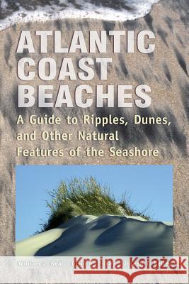 Atlantic Coast Beaches: A Guide to Ripples, Dunes, and Other Natural Features of the Seashore William J. Neal Orrin Pilkey Joseph Kelley 9780878425341 Mountain Press Publishing Company - książka