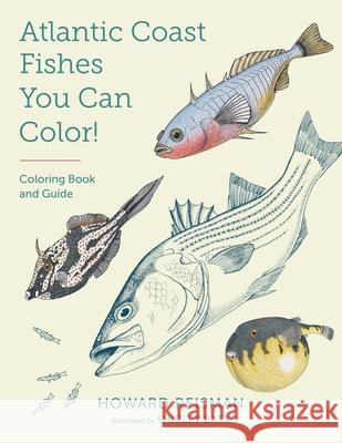 Atlantic Coast Fishes You Can Color!: Coloring Book and Guide Howard Reisman Shirley Baty 9781493065936 Muddy Boots - książka