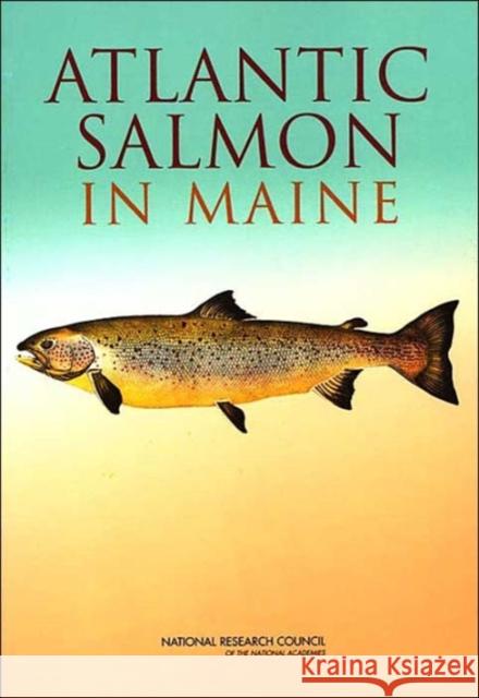 Atlantic Salmon in Maine National Research Council 9780309091350 National Academy Press - książka