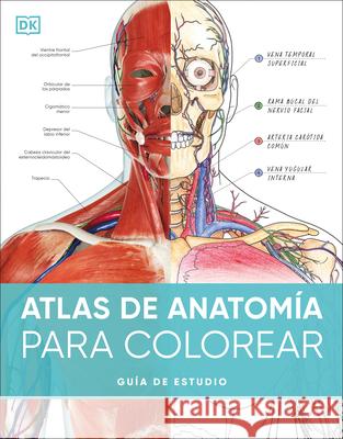 Atlas de Anatom?a Para Colorear (the Human Body Coloring Book): Gu?a de Estudio DK 9780593848098 DK Publishing (Dorling Kindersley) - książka
