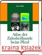 Atlas der Zahnheilkunde beim Pferd : Befunde und Behandlung Grell, Martin Maleh, Souel  9783794526932 Schattauer - książka