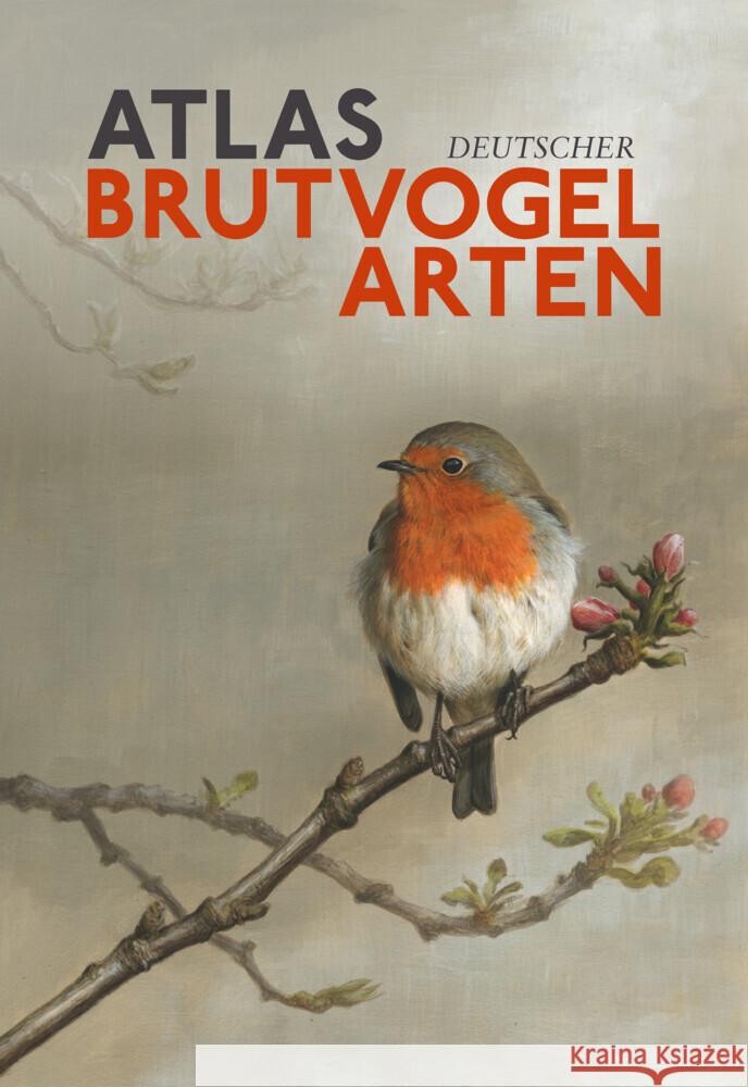 Atlas Deutscher Brutvogelarten (ADEBAR) Gedeon, Kai, Grüneberg, Christoph, Mitschke, Alexander 9783968490656 Favoritenpresse - książka