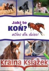 Atlas dla dzieci. Jaki to koń? Kamila Twardowska, Jacek Twardowski 9788382224665 SBM - książka