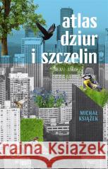 Atlas dziur i szczelin Michał Książek 9788324092680 Literanova - książka