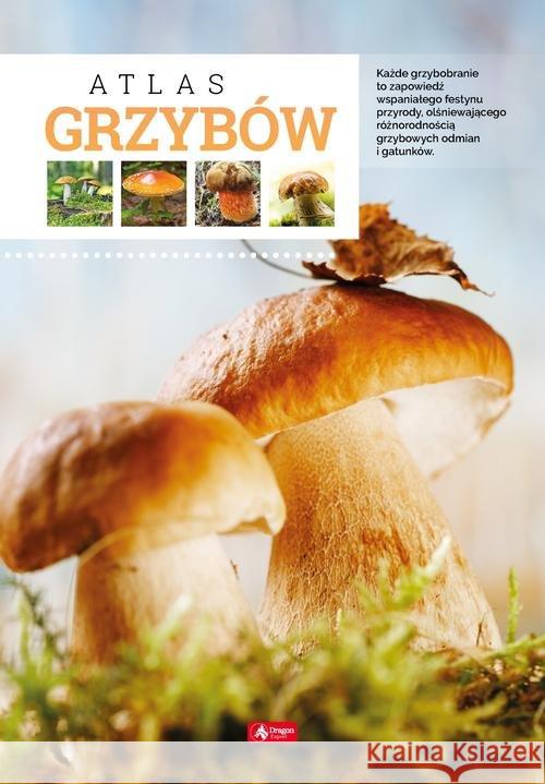 Atlas grzybów Kamiński Wiesław 9788381722124 Dragon - książka