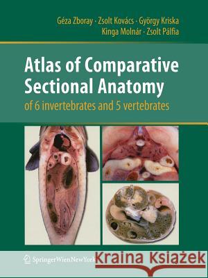 Atlas of Comparative Sectional Anatomy of 6 Invertebrates and 5 Vertebrates Zboray, Géza 9783709120057 Springer - książka