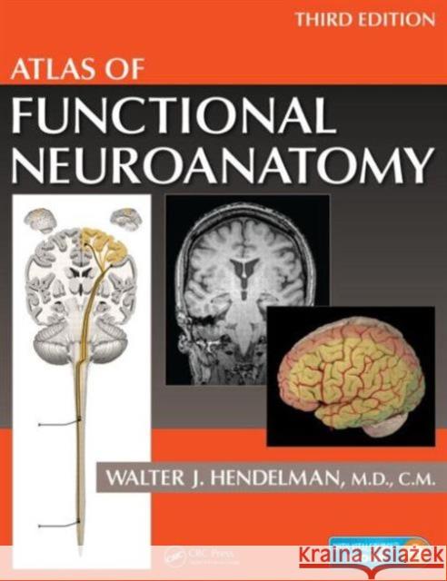 Atlas of Functional Neuroanatomy Walter Hendelma 9781466585348 CRC Press - książka
