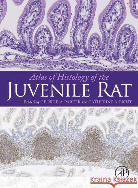 Atlas of Histology of the Juvenile Rat George Parker 9780128026823 ACADEMIC PRESS - książka