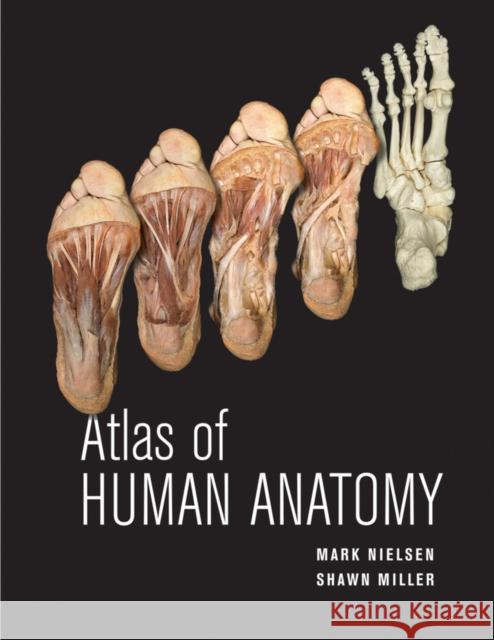 Atlas of Human Anatomy Mark Nielsen Shawn D. Miller 9780470501450 John Wiley & Sons - książka