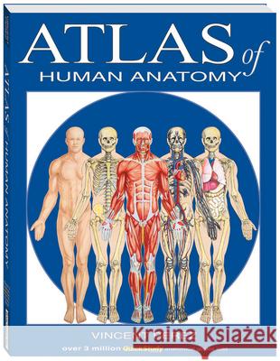 Atlas of Human Anatomy Vincent Perez 9781423201724 Barcharts - książka