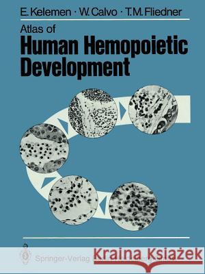 Atlas of Human Hemopoietic Development E. Kelemen W. Calvo T. M. Fliedner 9783662111956 Springer - książka