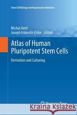 Atlas of Human Pluripotent Stem Cells: Derivation and Culturing Amit, Michal 9781493957866 Humana Press - książka