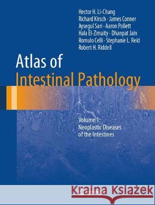 Atlas of Intestinal Pathology: Volume 1: Neoplastic Diseases of the Intestines Li-Chang, Hector H. 9783030123772 Springer - książka