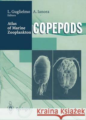 Atlas of Marine Zooplankton Straits of Magellan: Copepods Guglielmo, Letterio 9783642791413 Springer - książka