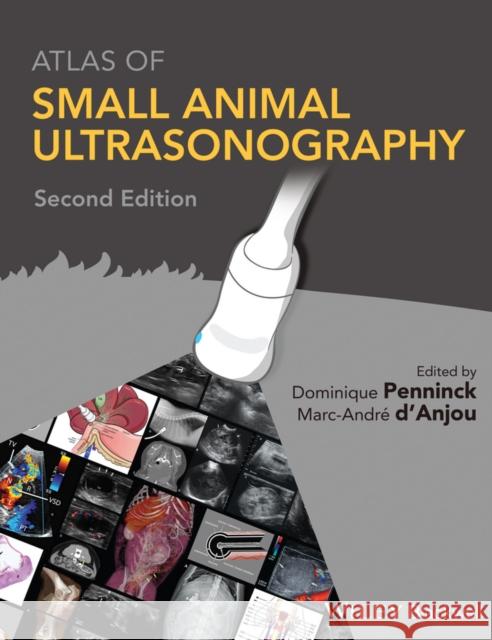 Atlas of Small Animal Ultrasonography  9781118359983 John Wiley and Sons Ltd - książka