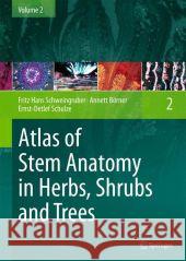 Atlas of Stem Anatomy in Herbs, Shrubs and Trees: Volume 2 Schweingruber, Fritz Hans 9783642204340 Springer, Berlin - książka