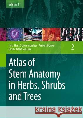 Atlas of Stem Anatomy in Herbs, Shrubs and Trees: Volume 2 Schweingruber, Fritz Hans 9783662520581 Springer - książka