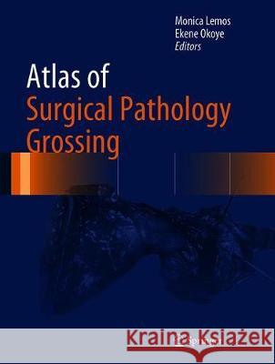 Atlas of Surgical Pathology Grossing Monica B. Lemos Ekene Okoye 9783030208387 Springer - książka